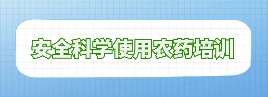 飘雪电影网培训