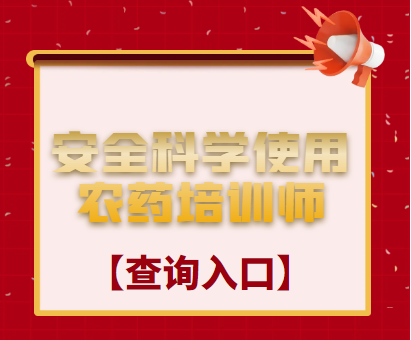 飘雪电影网培训